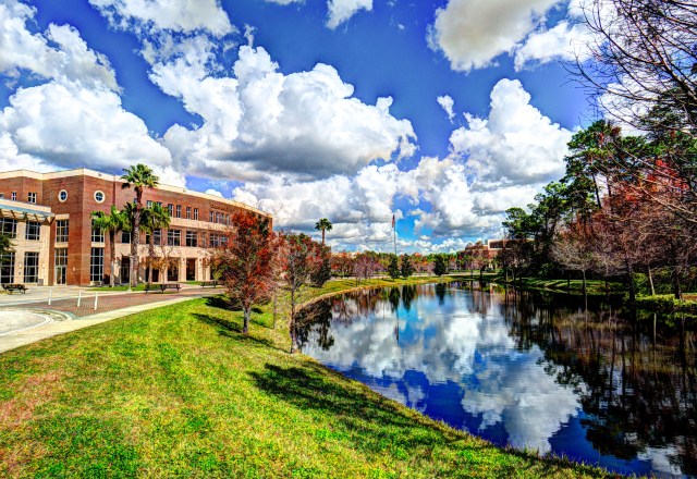 20140203-What Dreams are Made Of